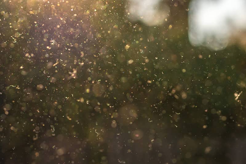 Pollen allergens are seasonal and include tree pollen, grass pollen, and weed pollen. The Penn Medicine Becker ENT & Allergy Center | New Jersey