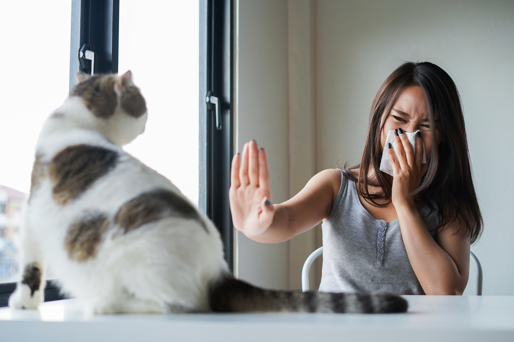 Breathe Easier: Simple Tips for Reducing Pet Allergens in Your Home