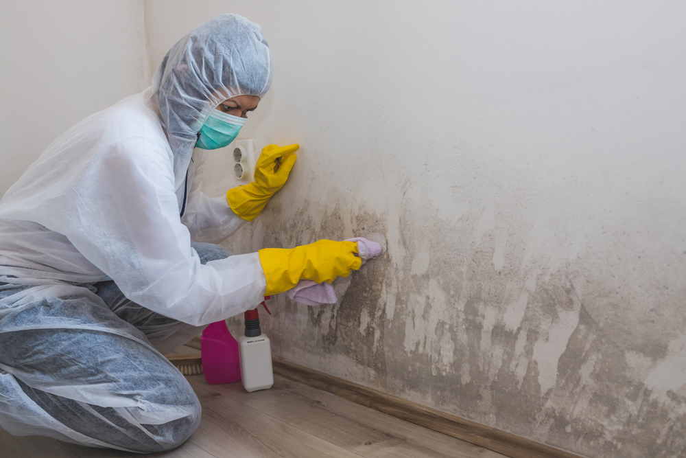 Outsmarting Mold in the Great Outdoors: Essential Tips for a Mold-Free Experience