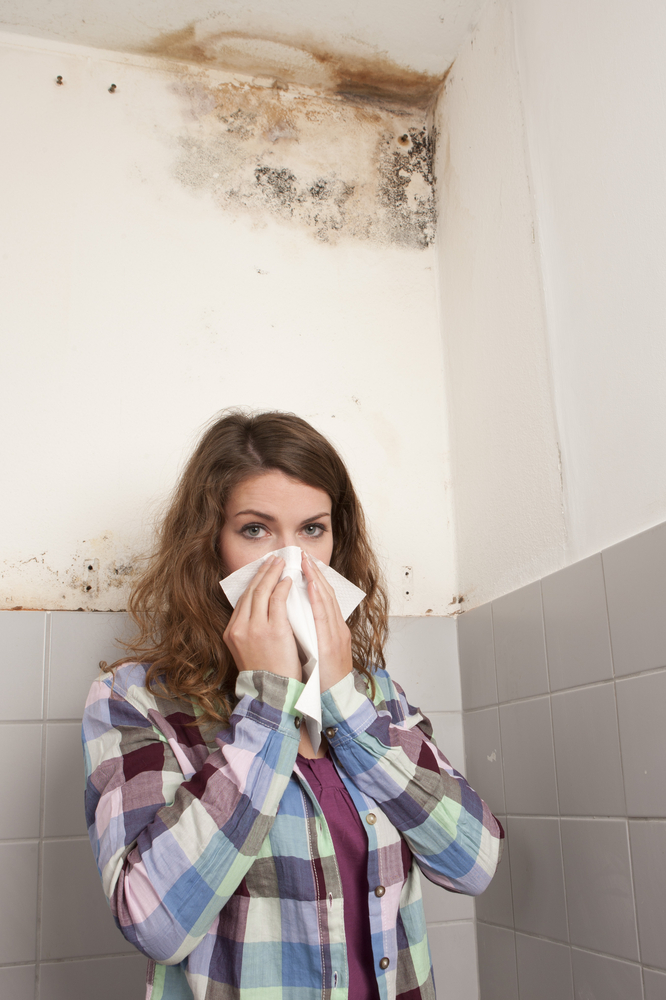 Mold and Allergies: How to Recognize the Signs and Protect Yourself
