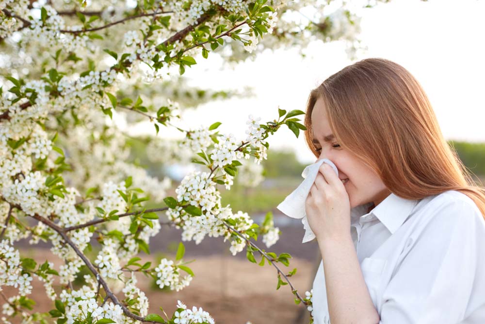 Wear a face mask when outdoors and/or use an air purifier indoors to reduce pollen exposure.
