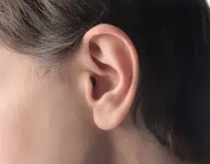 Anatomy of the human ear showcasing outer, middle, and inner structures
