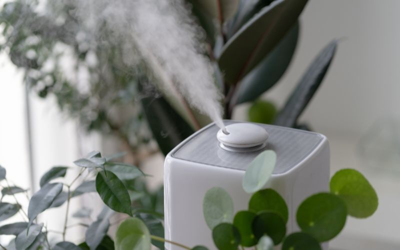 A humidifier releasing mist, surrounded by greenery, highlighting its role in managing allergens and improving air quality.