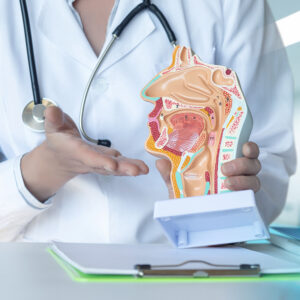 Fees Labeled FEES Swallowing Test | Becker ENT & Allergy New Jersey & PA