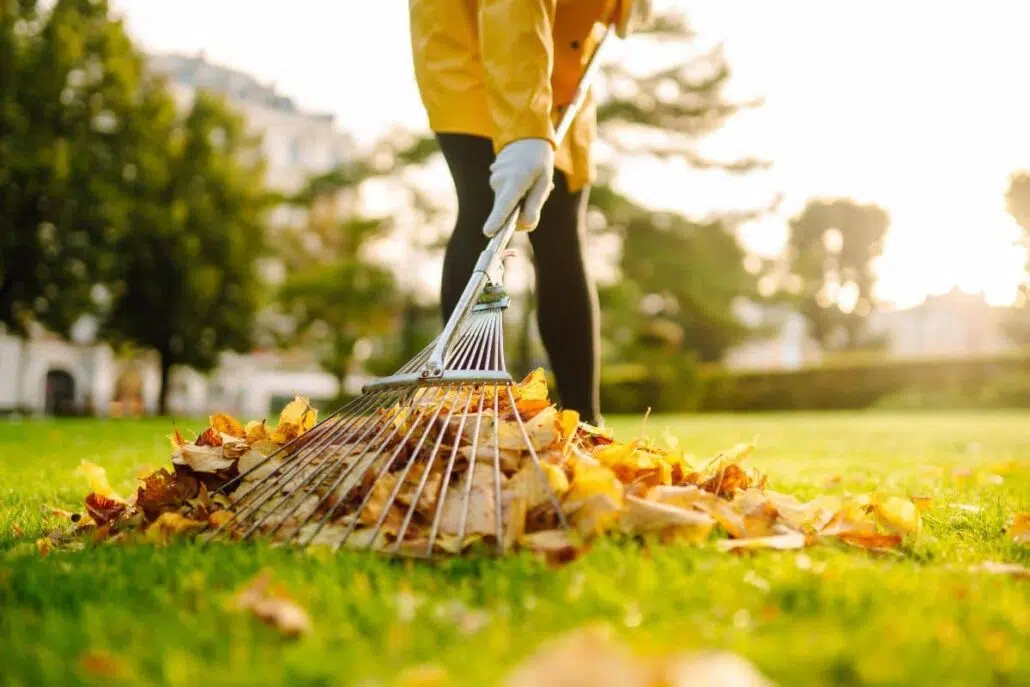 Person raking fallen leaves in backyard to reduce moisture and prevent mold growth.