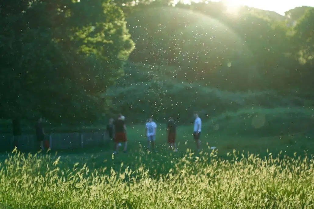 Visible tree pollen particles floating in sunlight near people outdoors, highlighting how allergens travel indoors in spring.