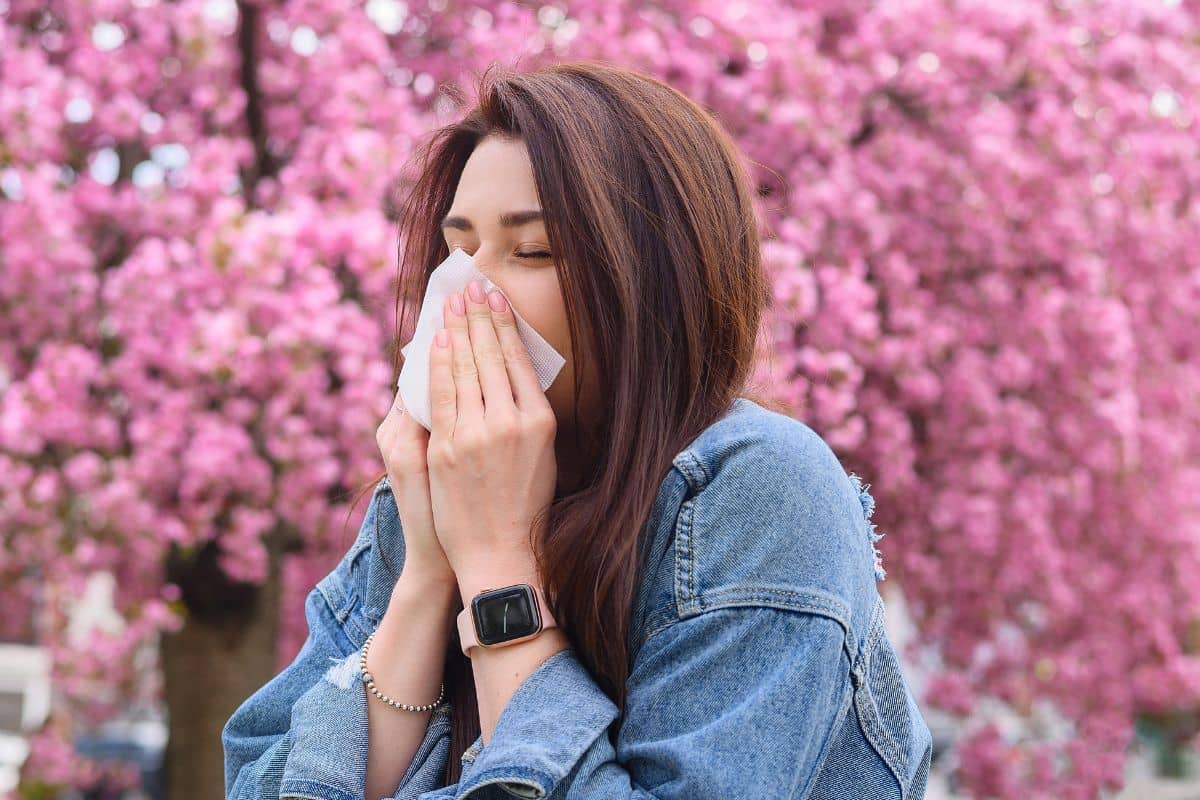 Woman sneezing due to spring allergies in Robbinsville, NJ with blooming pink trees in the background.