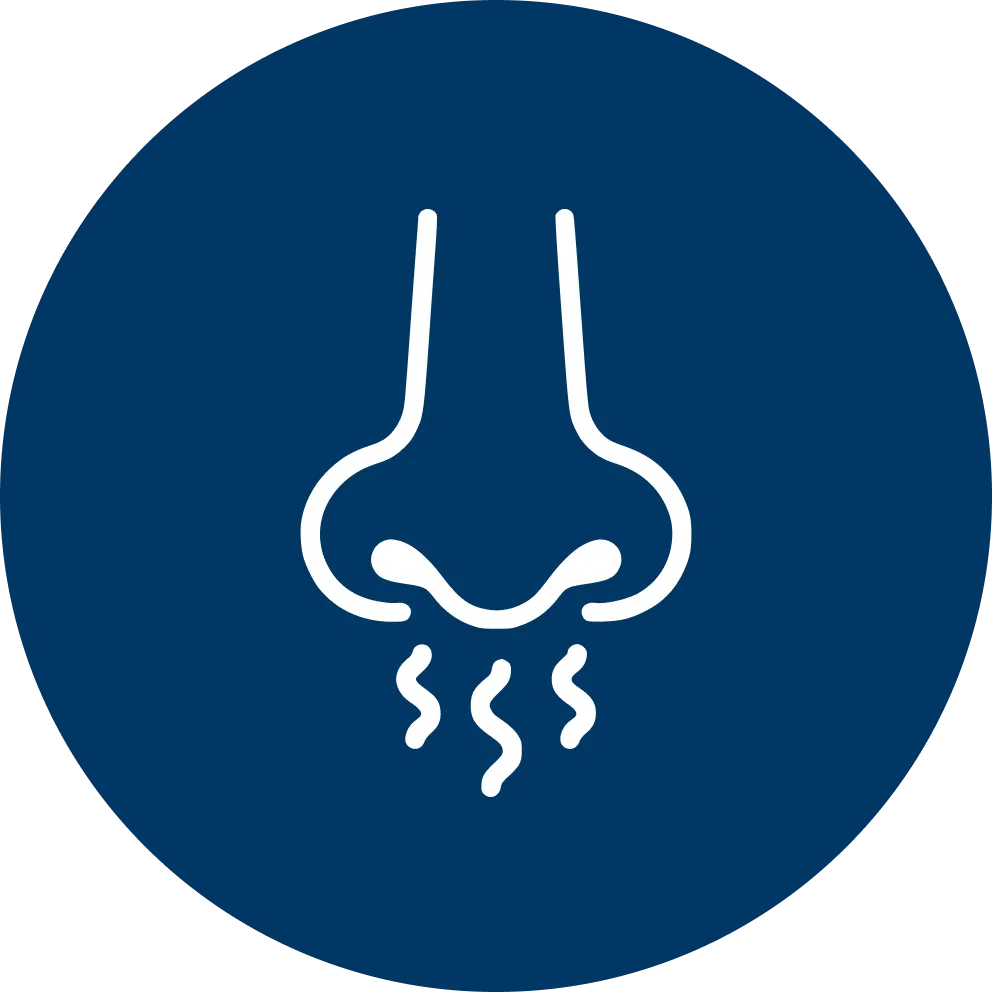 nose-congestion nose
